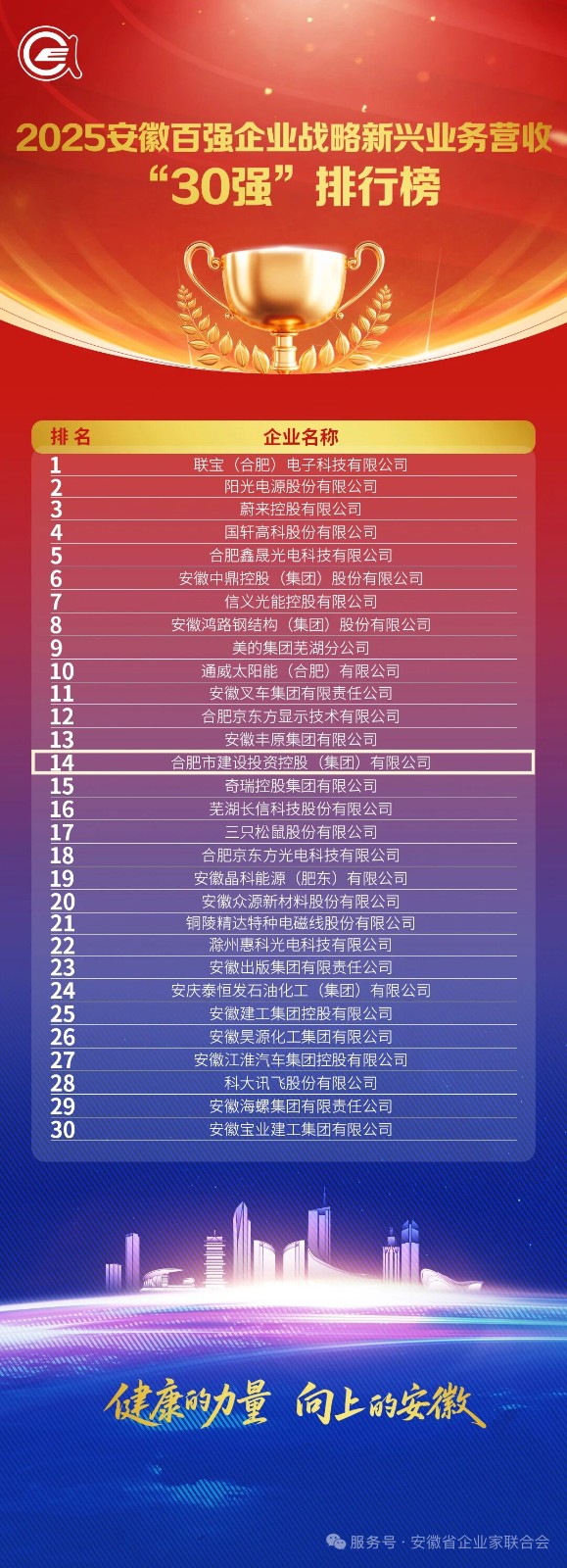 1763967134353 3.2025安徽百强企业战略新兴营业营收30强